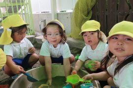 IMG_4817