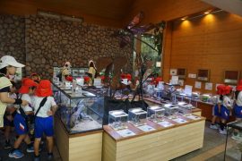 DSC00540