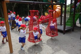 DSC02877