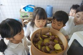 さつまいもパーティー10