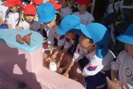 さつまいもパーティー2