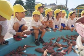 さつまいもパーティー7