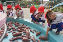 さつまいもパーティー6