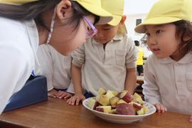 さつまいもパーティー13