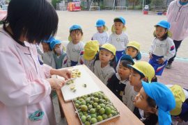 秋の味覚を楽しもう6