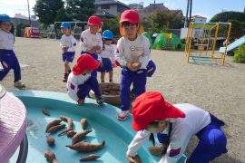 さつまいもパーティー5