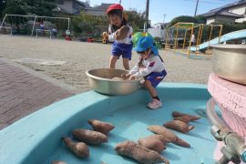 さつまいもパーティー4