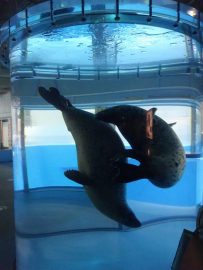 のんほいパークへ行ったよ12