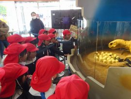 のんほいパークへ行ったよ14