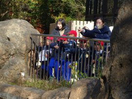 のんほいパークへ行ったよ7