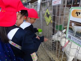 のんほいパークへ行ったよ13