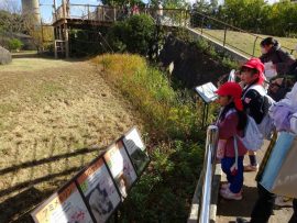 のんほいパークへ行ったよ9