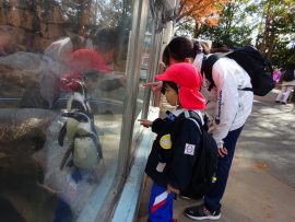 のんほいパークへ行ったよ11